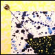 print acrylic works 04