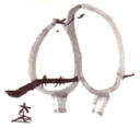 夫婦鳥